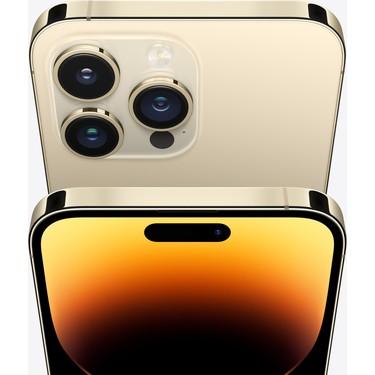 14 pro max 256 gb (gold)