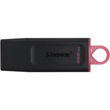 Kingston 256GB USB3.2 Data Traveler DTX/256GB
