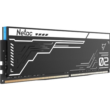 Netac Shadow II RGB 32GB (16GB x 2) 5600MHz DDR5 NTS2D5P56DP-32K