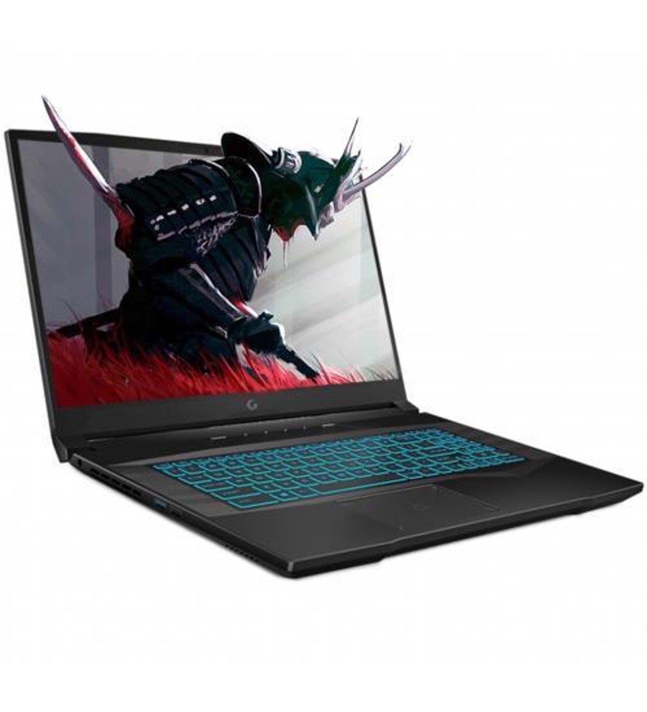 GG Slayer 5XL-3050Ti C1 i5-11400H 1x8GB 256GB 17.3 DOS